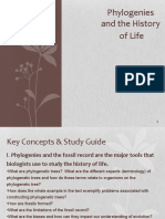 Phylogenies and the History of Life