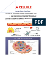 Cours La Cellule