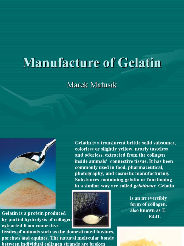 Manufacture of Gelatin PDF Gelatin Chemistry