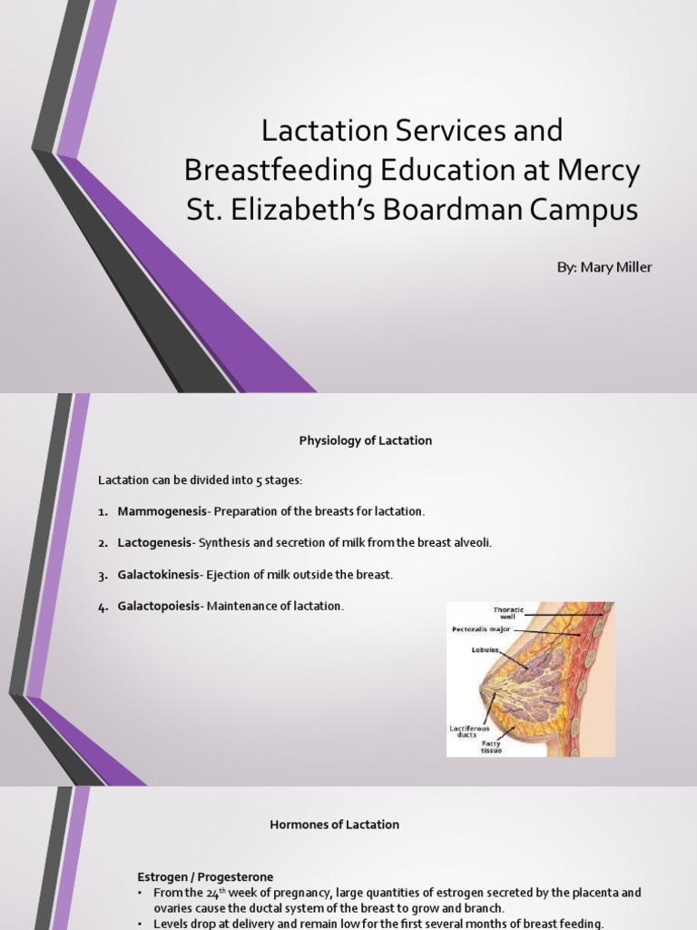 Lactation Services and Breastfeeding Education at Mercy ST PDF Lactation Breast