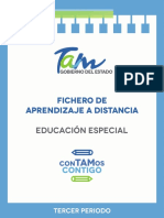 Fichero Educación Especial