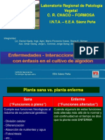 Script-Tmp-Inta Enfermedades Algodn