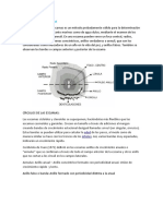 ANÁLISIS DE ANILLOS EN ESCAMAS PARA DETERMINAR LA EDAD DE LOS PECES