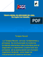 Terapia Neural