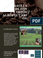 Tema 2 Naturaleza de Los Costos Agropecuarios