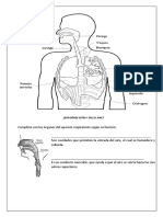 Virtual. Sistema Respiratorio. Martes 19 Abril