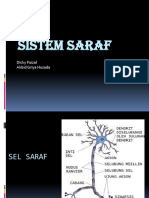 Sistem Saraf