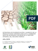 Estrategia de Diversificacion y Aumento de La Productividad Agropecuaria en El Corredor Seco de Nicaragua Con Base en La Gestion Integral Del Recurso Hidrico