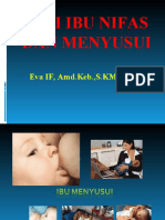 Gizi Ibu Menyusui