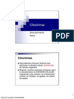 Citocininas 1