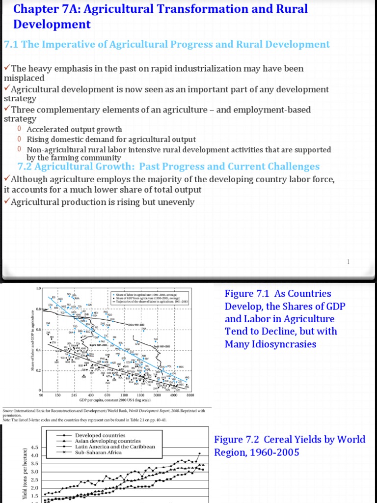 Agricultural Transformation Strategies | PDF | Agriculture | Economic ...