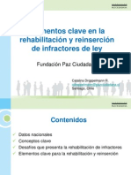 Elementos Clave en La Rehabilitación y Reinserción de Infractores de Ley