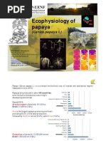 05a Ecofisiologia Del Cultivo de La Papaya Eliemar Campostrini 1469700911 c0e72