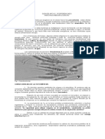 innovaciones biológicas 3º diferenciado