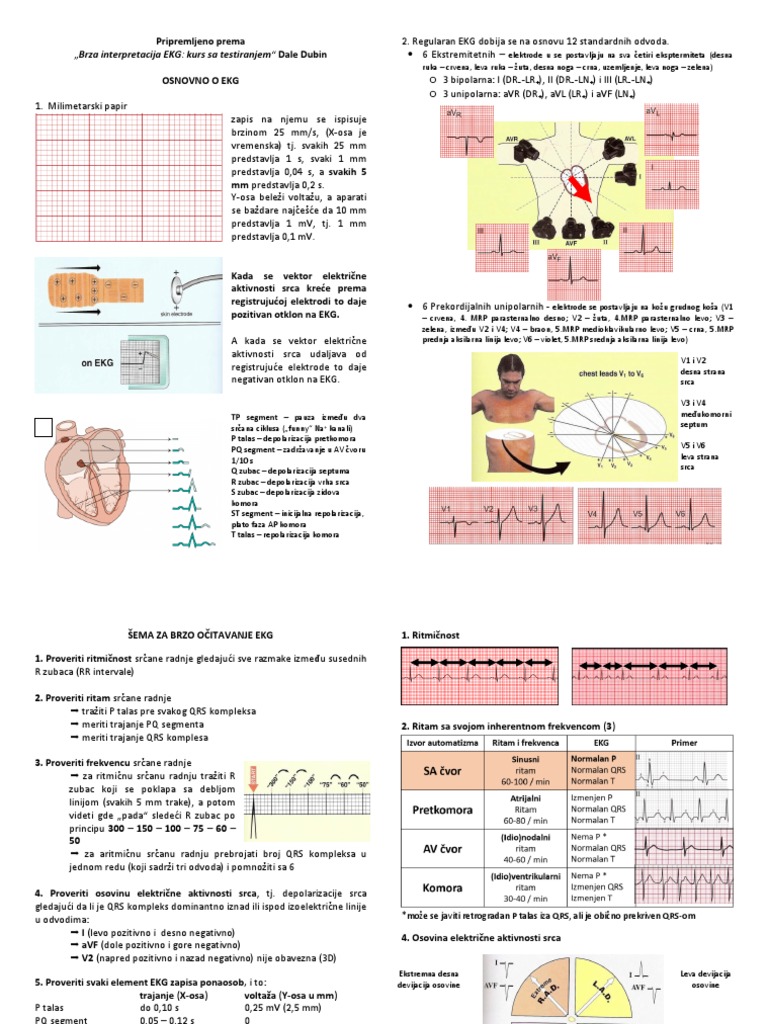 Kratak Pregled EKG | PDF
