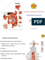 GASTROINTESTINAL SYSTEM Introduction
