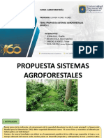 Propuesta Sistemas Agroforestales