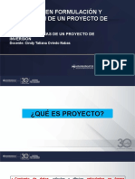 Tipologia Del Proyecto de Inversiòn