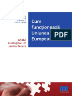 Cum Functioneaza UE