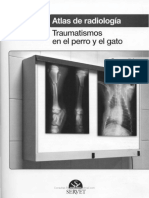 Atlas de Radiologia. Traumatismos en El Perro y El Gato. Joe P. Morgan.