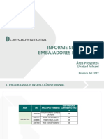 Modelo Informe SEmanal Embajador de La Salud Area Proyectos