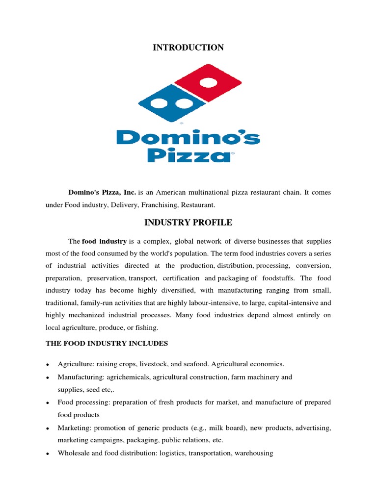 Domino&rsquo;s Pizza Report | PDF | Search Engine Optimization 