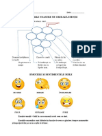 Fisa de Lucru DP Emotii