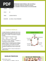 Primera Clase II Unidad