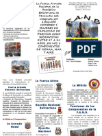 Triptico Premilitar