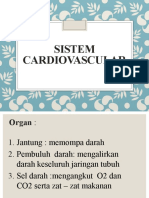 Sistem Cardiovascular