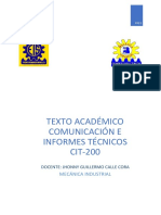 Texto Académico Cit200 - 104122
