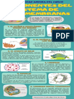 Componentes Del Sistema de Endomembranas