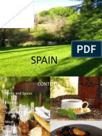 Spain Presentation