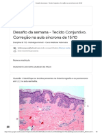 Desafio Da Semana - Tecido Conjuntivo. Correção Na Aula Síncrona de 15_10