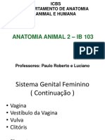 07.04.22 Teórica Sistema Genital Feminino - Continuação - 2021