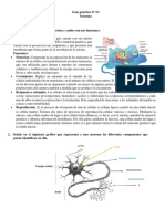 TP 3 Neuronas