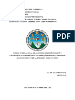 Nia 315 Identificación y Valoración de Los Riesgos de Incorrección Material Mediante El Conocimiento de La Entidad y de Su Entorno