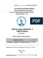 GUIA - PRACTICA 02 - Vasquez Campos - 270921