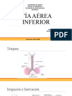 ANATOMÍA DE LA VÍA AÉREA INFERIOR FRANLIZ