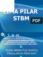 5 Pilar STBM