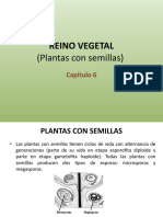 Reino Vegetal II