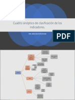 Cuadro Sinóptico de Clasificación de Los Indicadores