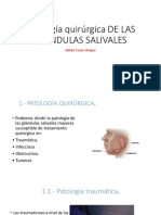 Patología quirúrgica DE LAS GLANDULAS SALIVALES