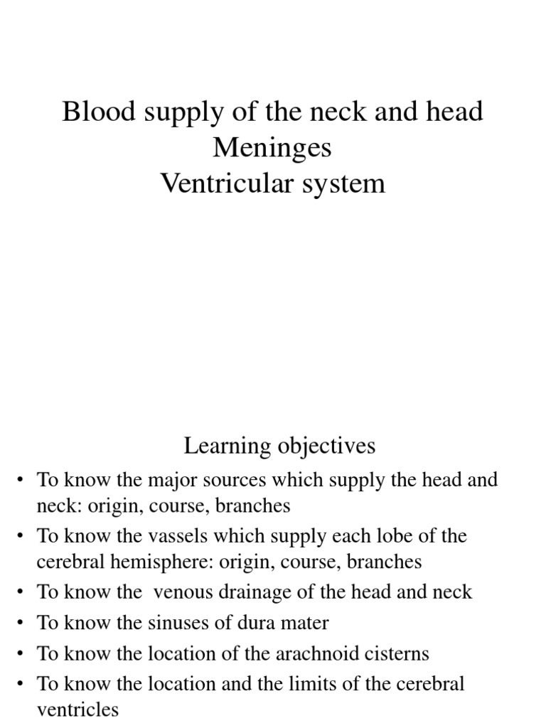 Blood Supply of Head and Neck | PDF | Common Carotid Artery ...