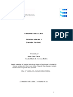 Práctica Nº 1 de Derecho Sindical