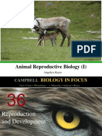 Animal Reproductive Biology (I) : Angelico Reyes