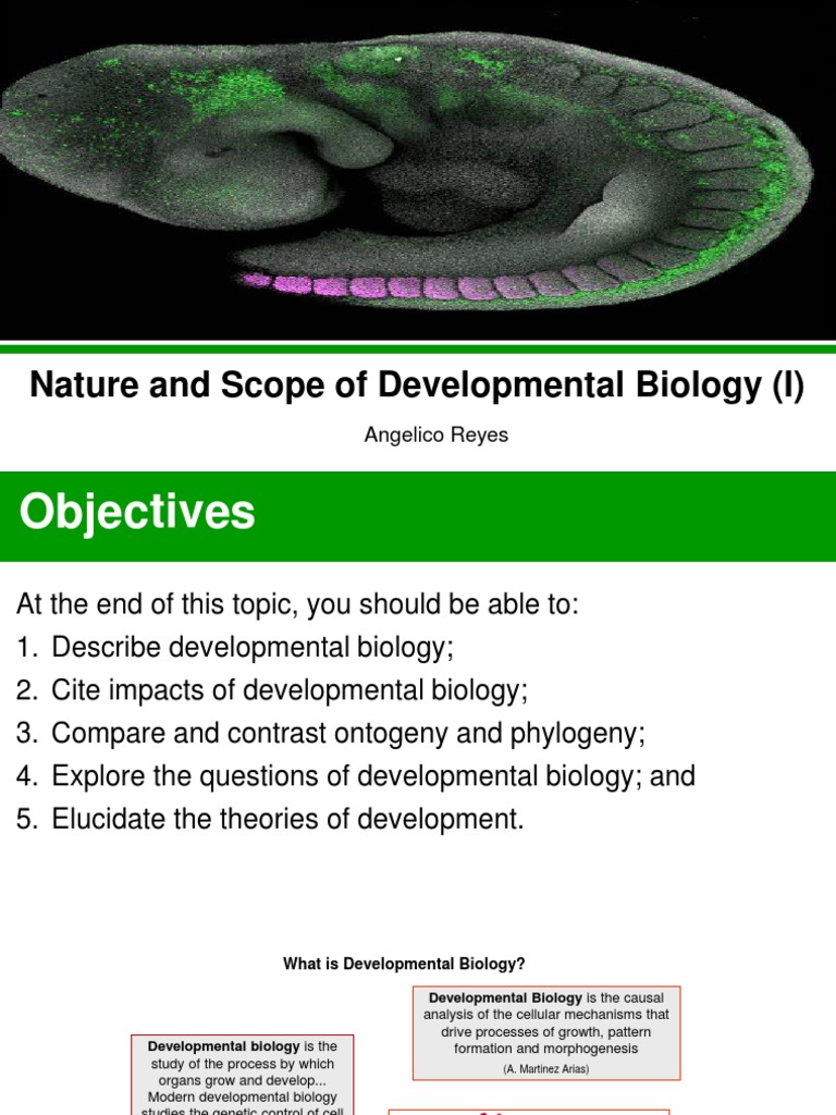 Overview of Developmental Biology | PDF | Developmental Biology | Biology