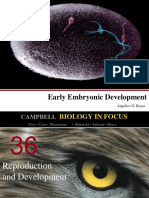 Lecture 3 Early Embryonic Development