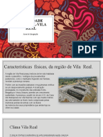 Entidade Regional-Vila Real