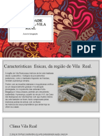 Entidade_regional-vila_real